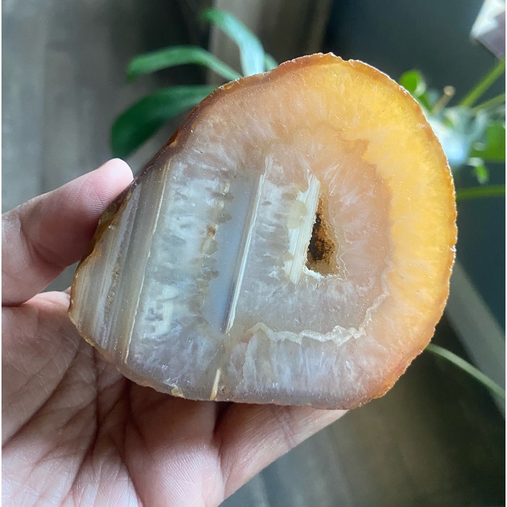 Polished Brazilian Earth Tone Agate